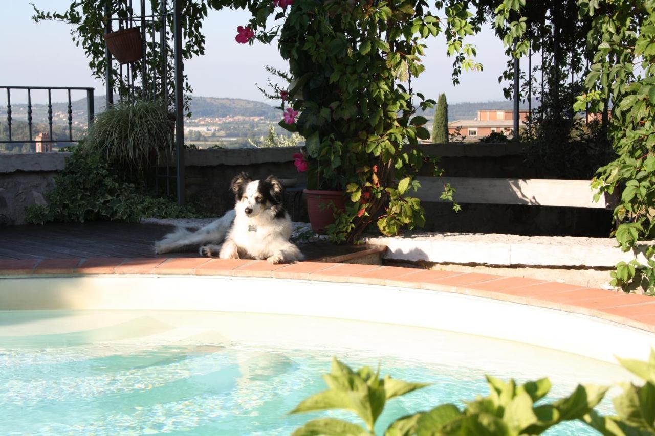 B&B Poggio Caiar Caprino Veronese Exterior photo